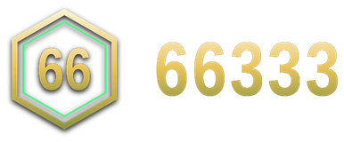 66333 logo